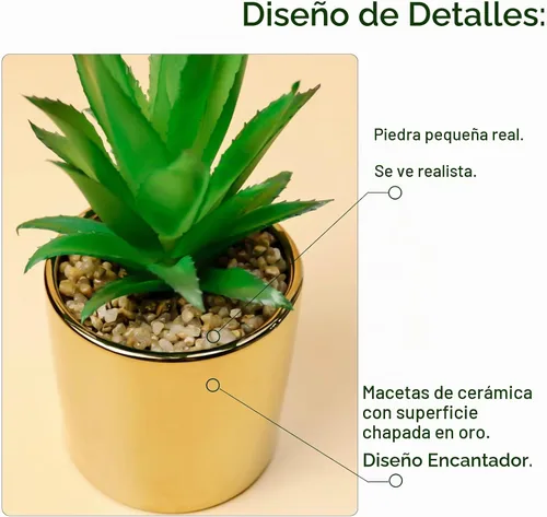 Vista 2 de Plantas artificiales suculentas de imitación de 7 y 5 pulgadas en macetas para decoración del hogar, juego de 2 macetas doradas