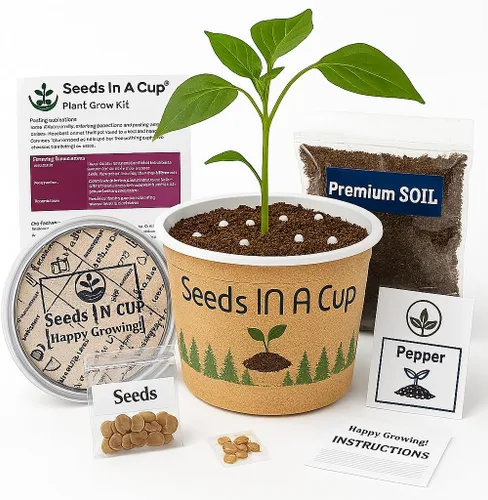 Vista 5 de Seeds in A Cup- Kit de cultivo de árboles (fresno americano)
