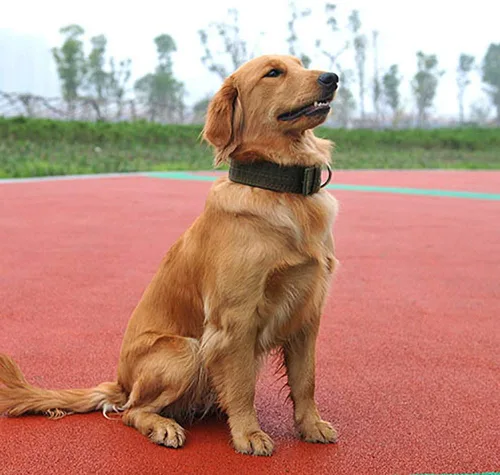 Vista 4 de Love Dream Collar militar ajustable para perro, collares tácticos de nailon con anillo en D de metal y hebilla para perros grandes y extragrandes