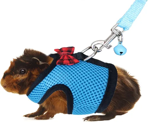 Vista 9 de Rypet Arnés y correa para conejillo de indias, 2 piezas, arnés de malla suave para mascotas pequeñas con campana segura, chaleco acolchado cómodo 2