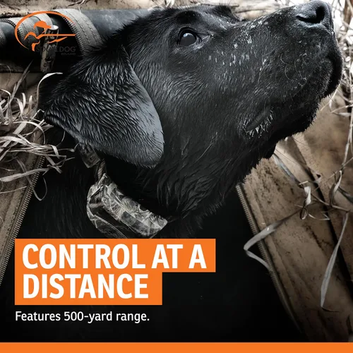 Vista 7 de SportDOG WetlandHunter 425X - Entrenador remoto - Control fiable fuera de la correa - Recargable - Tecnología DryTek impermeable - Cuello