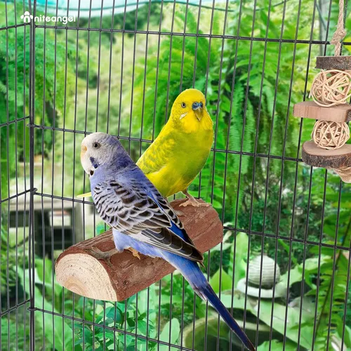 Vista 5 de Niteangel Percha de jaula para loros, plataforma de madera para pájaros (paquete de 1)