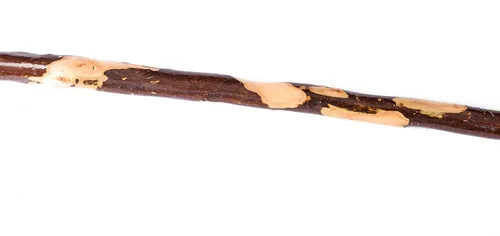 Vista 3 de FOREST PILOT Bastón de senderismo hecho a mano de madera natural, 55 pulgadas de largo, con correa de mano y cubierta de punta de goma