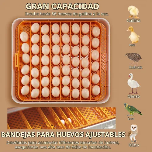 Vista 2 de iPettie - Incubadora de huevos para incubar huevos con giro automático