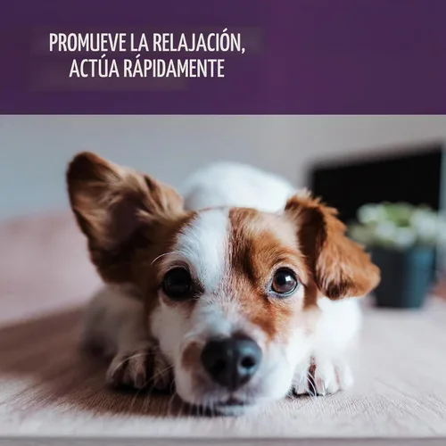 Vista 5 de Sentry Calming Chews for Dogs
