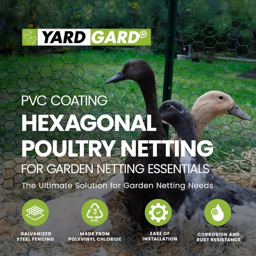 Vista 2 de YardGard Red hexagonal galvanizada de las aves de corral de la capa del PVC