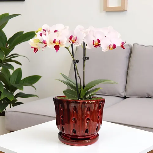 Vista 6 de Maceta de Cerámica para Orquídeas con Platillo Adjunto y Agujero de Drenaje de 6 Pulgadas (Rojo)