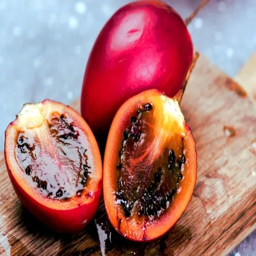 Vista 2 de HPGS 10 Seeds - Semillas de tomate Tamarillo Cyphomandra betacea Garden Fruit - Planta de crecimiento rápido, verde, naranja, rojo