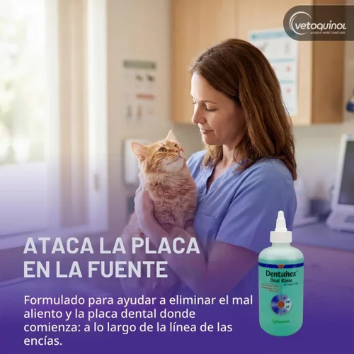 Vista 3 de Vetoquinol Dentahex - Enjuague de higiene bucal para mascotas, 8 onzas