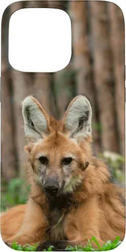 Vista 27 de Funda para iPhone 13 Pro Max Maned Wolf