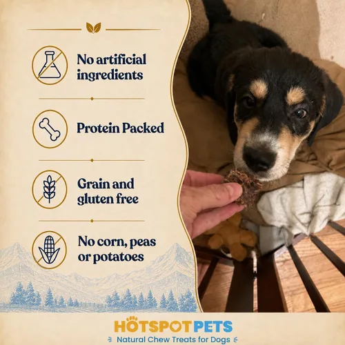 Vista 5 de hotspot pets Golosinas de carne de pulmón para perros, bolsa grande de 1 libra, tostado lento, totalmente naturales, deshidratadas, golosinas