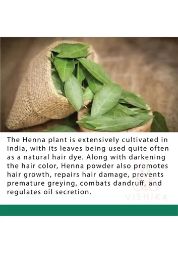 Vista 4 de Polvo de henna herbales Colorante y acondicionador natural para el cabello Fortificado con 9 hierbas botánicas del Himalaya para nutrir