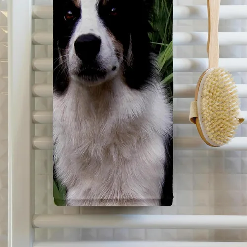Vista 2 de 3dRose Border Collie 2 22x30 Bath Hand Pool Towel