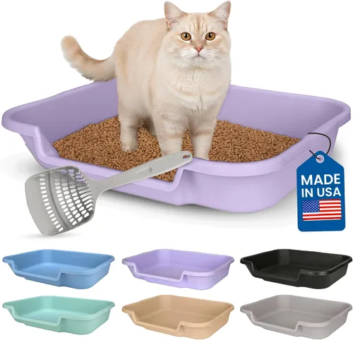 Vista 53 de KittyGoHere - Caja de arena para gatos mayores, sartén pequeña con cuchara jumbo de mango largo, caja de arena para gatos de entrada baja, ligera