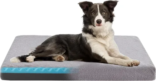 Vista 20 de WATANIYA PET Cama de Espuma Viscoelástica para Perros Medianos, Camas Refrescantes para Perros Medianos, Cama Ortopédica Lavable para Mascotas