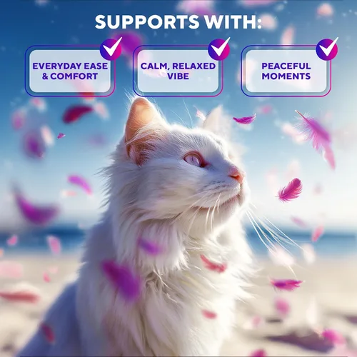 Vista 3 de Beloved Pets - Difusor calmante para gatos y productos antiansiedad para mascotas, feromonas calmadas felinas para enchufar y aliviar el estrés