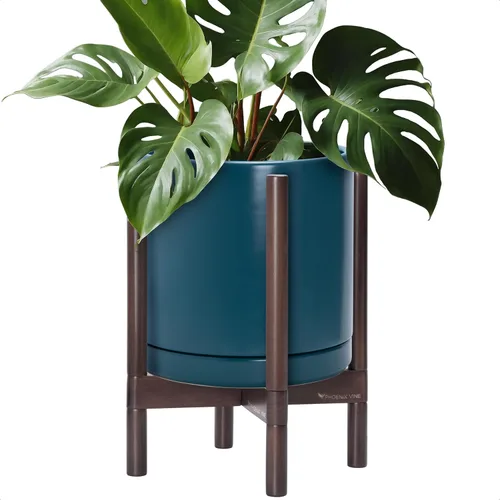 Vista 67 de D'vine Dev Maceta de cerámica con soporte de ébano – Maceta redonda moderna de 8 pulgadas con soporte para maceta de madera, color negro, 55-B-M-2