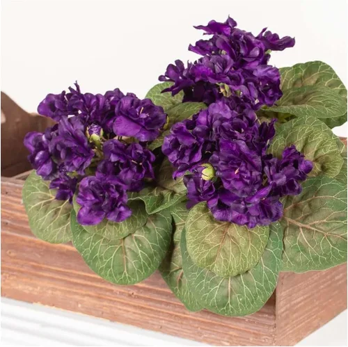 Vista 4 de 6 arbustos de violeta africana morada: tallos artificiales de flores de Polysilk Morado