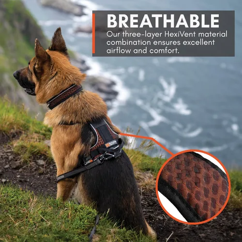 Vista 8 de Non-stop dogwear Rock Arnés ajustable para perros pequeños con 3 clips para correa, asa y reflectante, negro/naranja, talla XS