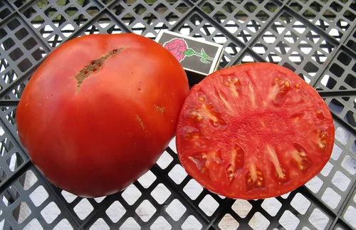 Vista 9 de Semillas Vegetal Beefsteak Tomate Red Giant Indetereminate Non GMO para plantar reliquia