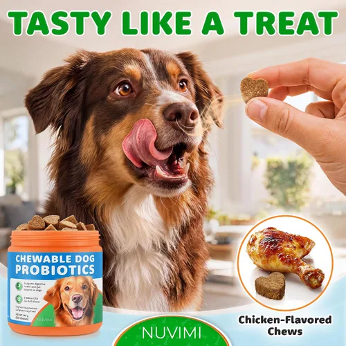 Vista 5 de Probióticos para perros – 120 masticables – Ayuda a apoyar la salud intestinal del perro – Suplemento probiótico masticable con sabor a pollo
