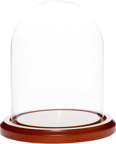Vista 9 de Plymor Cúpula de cristal de 4.5 x 6 pulgadas (base de madera MDF negra)