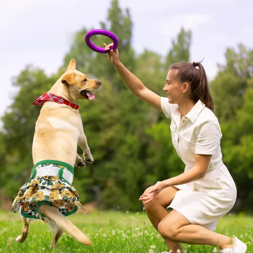 Vista 7 de Pet Soft Pañales para Perras Hembras – Paquete de 3 pañales lavables estilo vestido para perras hembras en celo – Bragas Reutilizables para Período