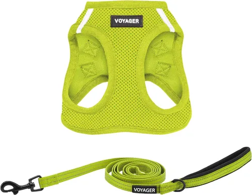 Vista 9 de Arnés de malla Voyager Step-in Air para todo clima y correa reflectante para perro de 5 pies, combo con mango de neopreno, para cachorros de razas