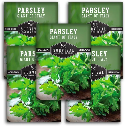 Vista 10 de Giant of Italy Semillas de perejil para plantar, hierba tradicional italiana de hoja plana con hojas grandes y sabrosas, sin OMG, ideal para cocinar