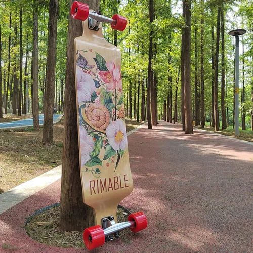 Vista 2 de Longboard completo de 41 pulgadas