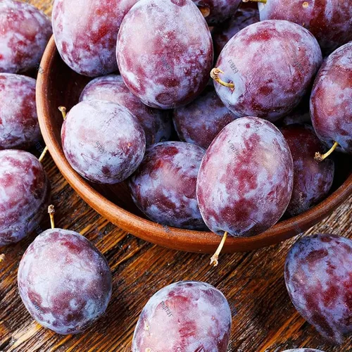 Vista 6 de 10 semillas Prunus Domestica para plantar, semillas de árbol frutal de ciruelo perenne, semillas de árboles frutales sin OMG para el jardín