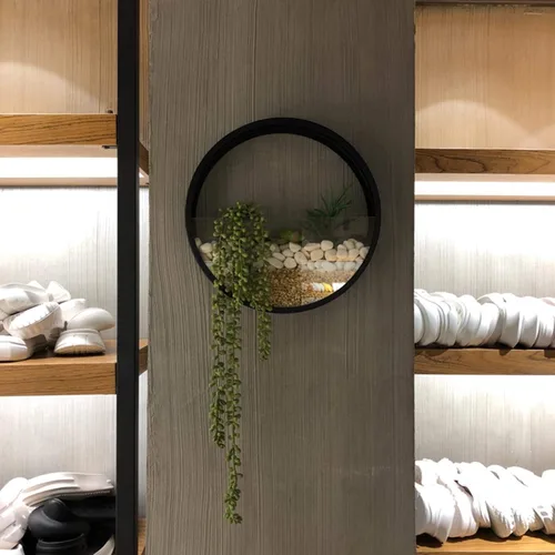 Vista 4 de Juego de 3 macetas de pared, modernas macetas redondas de vidrio para suculentas, maceta circular colgante de hierro para hierbas, cactus pequeño