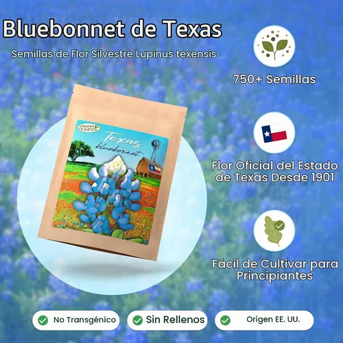 Vista 2 de Created By Nature Texas Bluebonnet Seeds, más de 750 semillas de flores silvestres, Texas State Flower