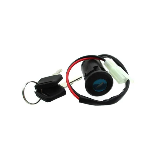Vista 7 de Interruptor de llave de 2 cables para mini moto eléctrica Dirt Pocket Bike ATV Go Kart Scooter