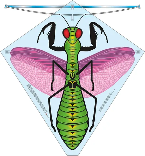 Vista 4 de X Kites Buzz Kites® - Cometa de polietileno surtida