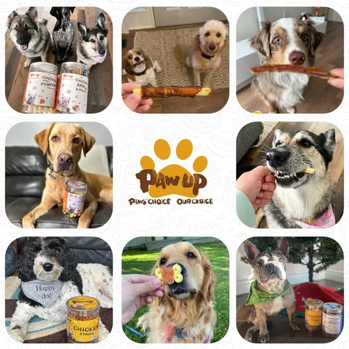 Vista 7 de PAWUP Dog Treats - Galletas envueltas en pollo, palitos de calabaza, sin cuero crudo, suaves masticables con taurina, golosinas de entrenamiento