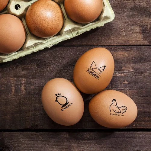 Vista 7 de Sellos de huevos para huevos frescos, Sello de huevo de pollo personalizado, Sellos de huevos personalizados, Sellos de huevos para huevos frescos