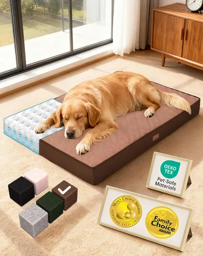 Vista 14 de OhGeni Cama ortopédica para perros pequeños, espuma viscoelástica 01-gris