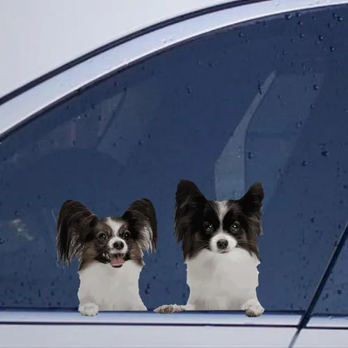 Vista 19 de Calcomanías de perro caniche, divertidas calcomanías de vinilo troqueladas para automóvil, laptop, parachoques Estilo-37