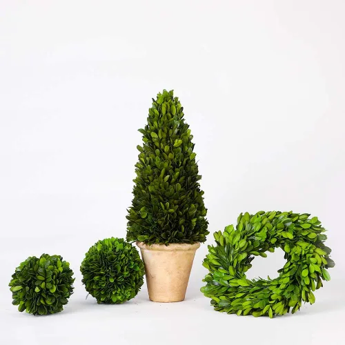 Vista 4 de Esfera decorativa de boj preservada, hojas de boj reales, plantas verdes, decoración del hogar para Navidad, Día de Acción de Gracias, regalos que
