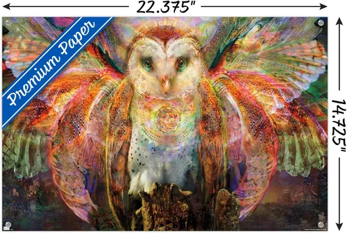 Vista 3 de Trends International Jumbie - Owl Wall Poster, 14.72" x 22.37", Premium Poster & Push Pin Bundle