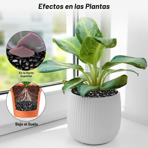 Vista 4 de Suministros para terrarios, piedras de río Virekm, guijarros ornamentales decorativos, piedras para paisajismo de jardín, grava de relleno