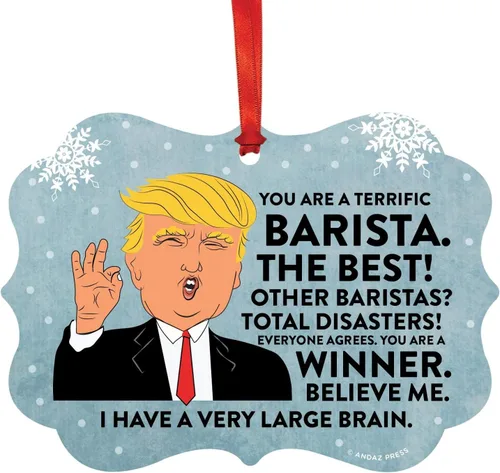 Vista 118 de Andaz Press Presidente Donald Trump Fancy Frame Recuerdo Adorno de Navidad Regalo de broma, excelente contador, 1 paquete, divertidas ideas