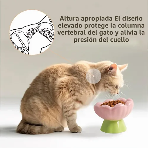 Vista 2 de DIF DECO - Cuenco elevado de cerámica para gatos, cuencos elevados de comida rosa para alimentos y agua, protege la columna vertebral y los bigotes