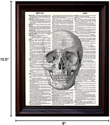 Vista 2 de Fresh Prints of CT Diagrama anatómico de calavera humana, impreso en papel de diccionario vintage reciclado, póster de arte anatómico de 8 x 10.5