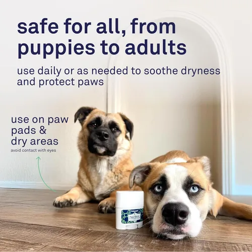 Vista 5 de Bálsamo para perros - Crema nutritiva que alivia la picazón y las patas secas del perro con ingredientes hidratantes - Aceite de coco orgánico