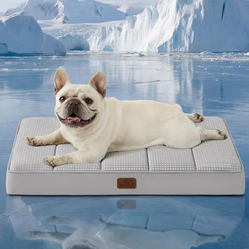 Vista 34 de Bedsure - Cama ortopédica pequeña para perros chicos, impermeable, con funda extraíble lavable, tapete de espuma con forma de huevera para mascotas