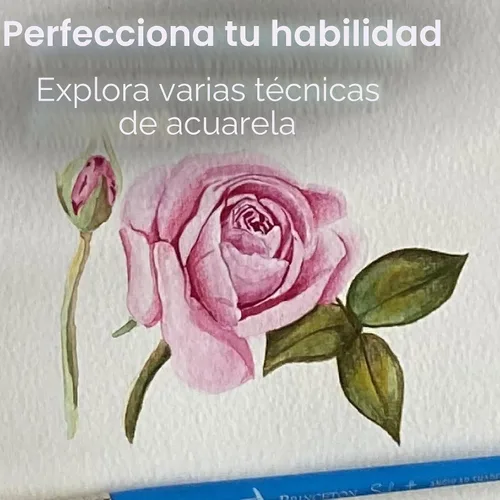 Vista 5 de Canson Bloc de acuarela serie XL, papel blanco pesado, encuadernación plegable, 30 hojas, 9 x 12 pulgadas