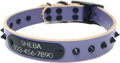 Vista 16 de Personalized Spiked Bridle Leather Dog Collar, Engraved Matte Black Metal Nameplate (Mustard Yellow)