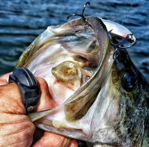 Vista 5 de Line Cutterz Anillo de cuchilla de cerámica patentado sin óxido, cortador de línea de pesca rápido
